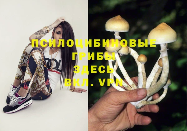 MDMA Premium VHQ Алексеевка