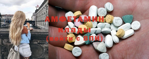 ешки Алексин